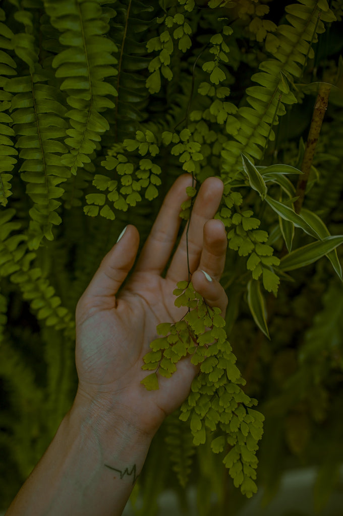 A Hand and Foot Treatment